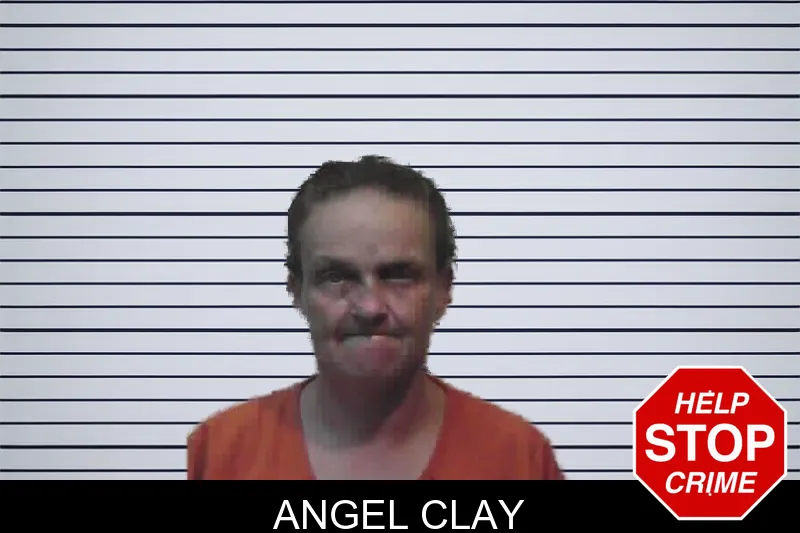 Angel Clay mugshot