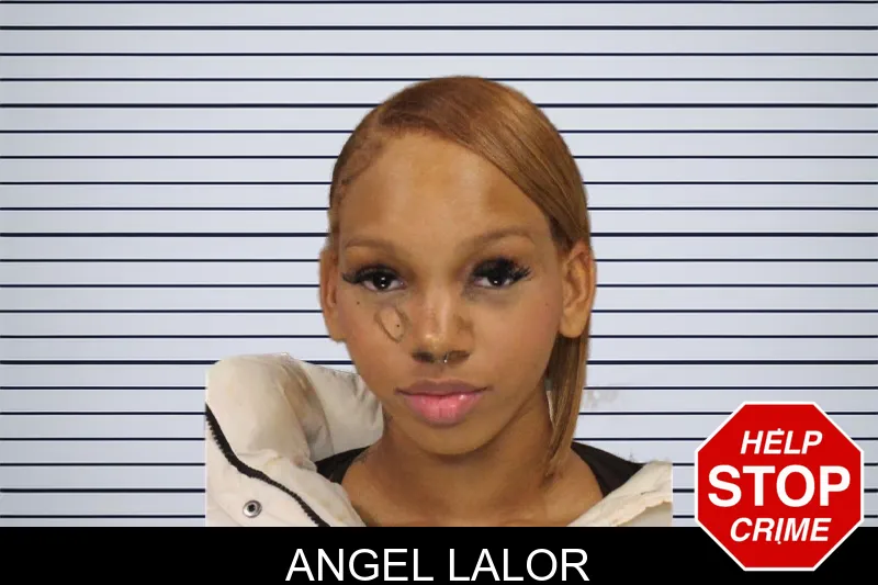 Angel Lalor mugshot – Cobb County , Georgia Angel Lalor mugshot