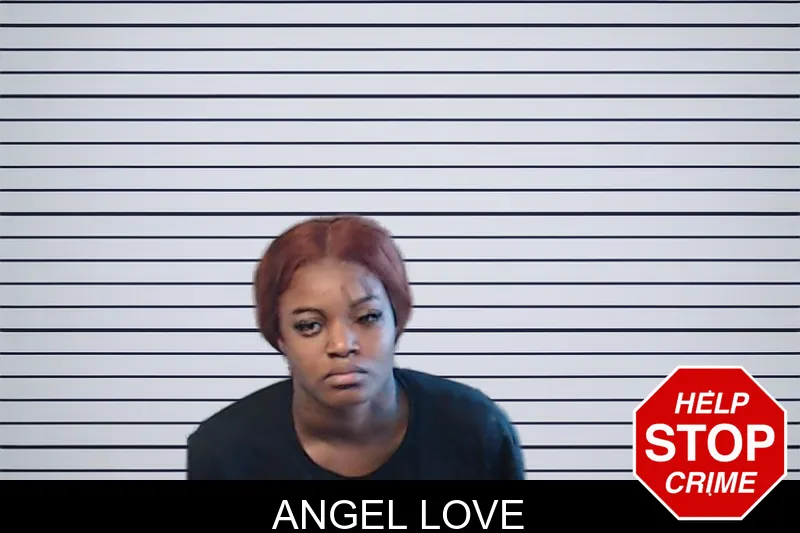 Angel Love mugshot – DeKalb County , Georgia Angel Love mugshot