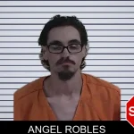 Angel Robles mugshot – Fannin County , Georgia Angel Robles mugshot
