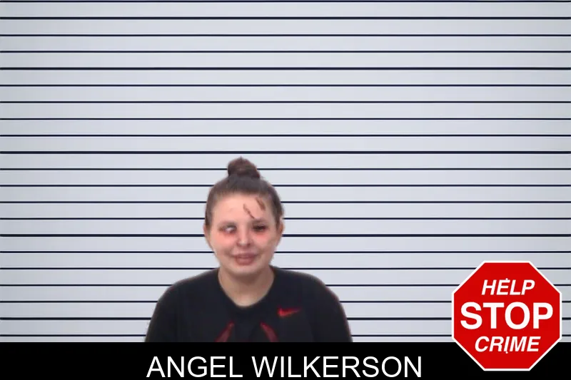 Angel Wilkerson mugshot