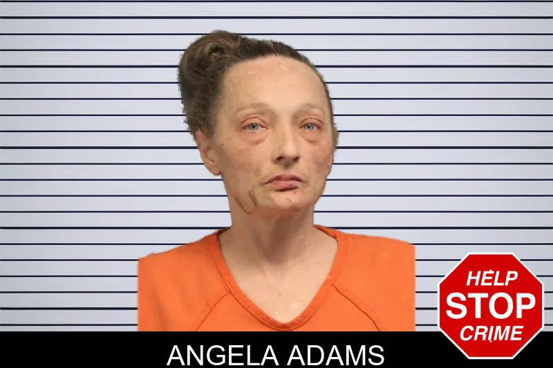 Angela Adams mugshot – Lumpkin County , Georgia Angela Adams mugshot
