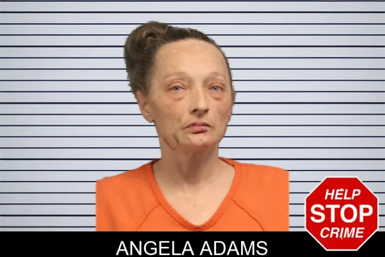 Angela Adams