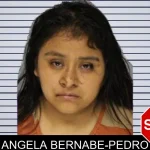 Angela Bernabe-Pedro mugshot – Hall County , Georgia Angela Bernabe-Pedro mugshot