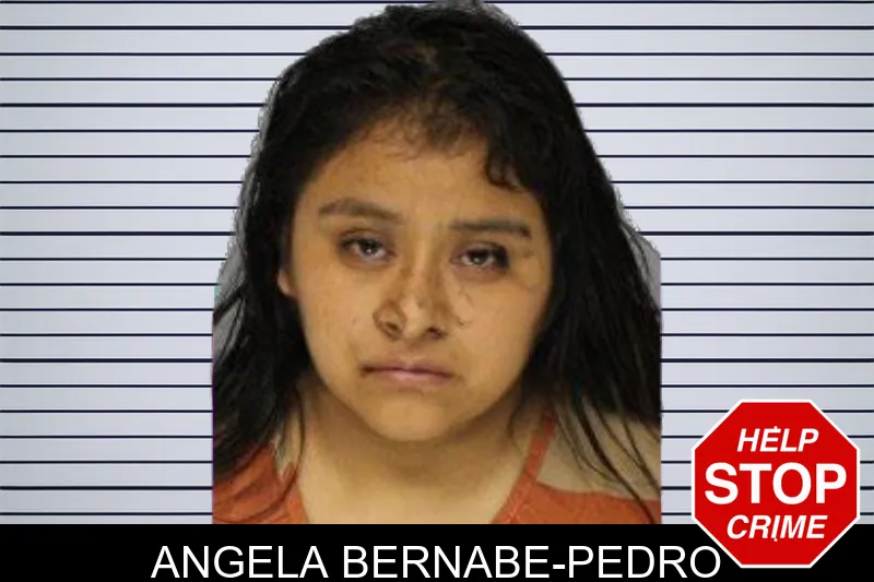 Angela Bernabe-Pedro mugshot – Hall County , Georgia Angela Bernabe-Pedro mugshot