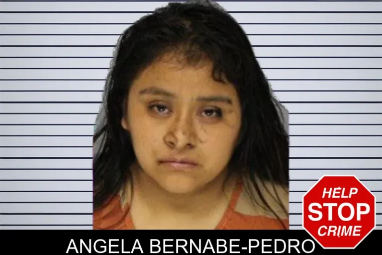 Angela Bernabe-Pedro mugshot – Hall County , Georgia Angela Bernabe-Pedro