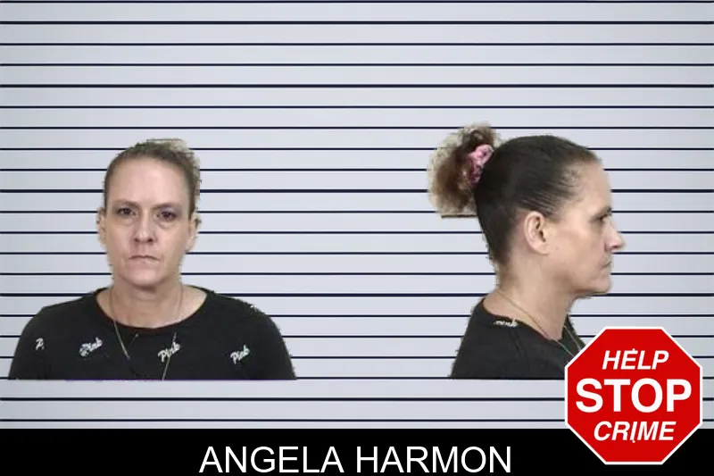 Angela Harmon mugshot