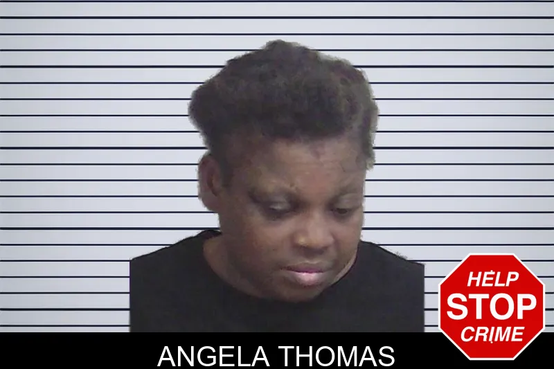 Angela Thomas mugshot – Wayne County , Georgia Angela Thomas mugshot