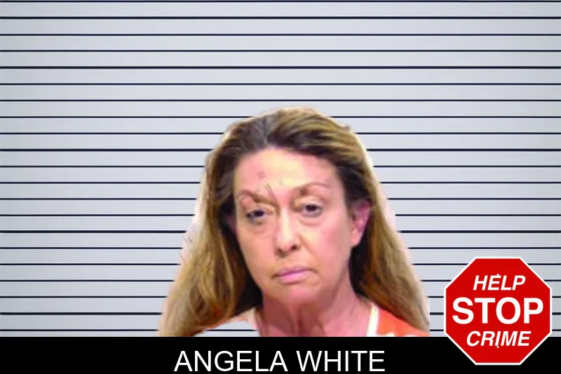 Angela White mugshot
