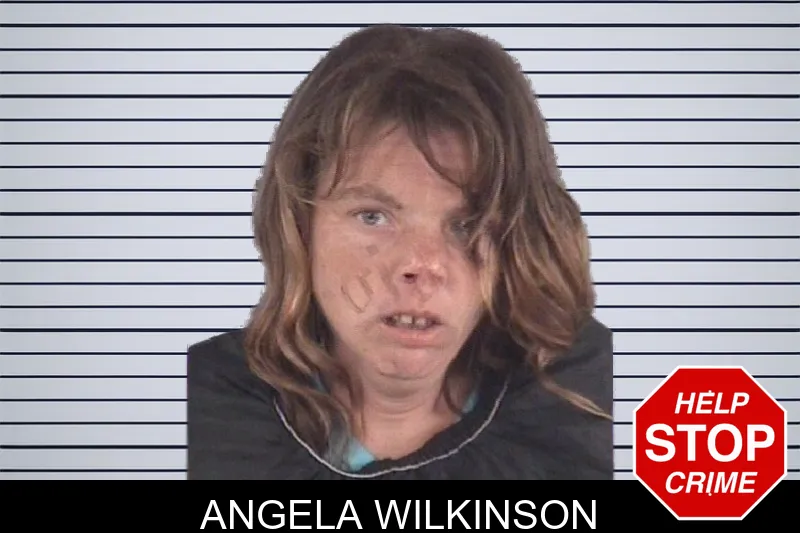 Angela Wilkinson mugshot