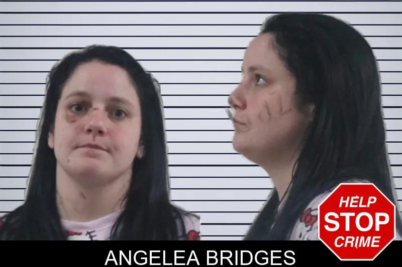 Angelea Bridges mugshot