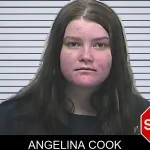 Angelina Cook mugshot – Dawson County , Georgia Angelina Cook mugshot