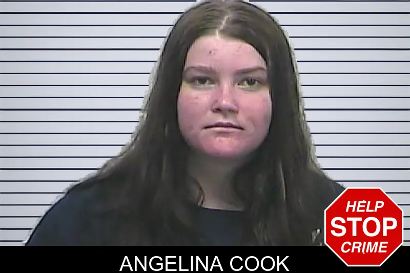 Angelina Cook mugshot – Dawson County , Georgia Angelina Cook mugshot