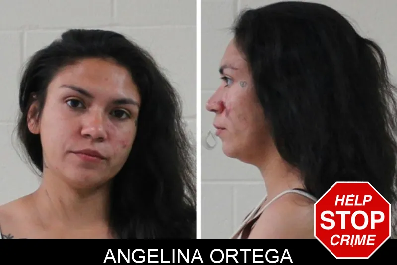 Angelina Ortega mugshot