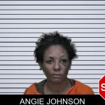 Angie Johnson mugshot