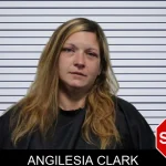 Angilesia Clark mugshot – Habersham County , Georgia Angilesia Clark mugshot