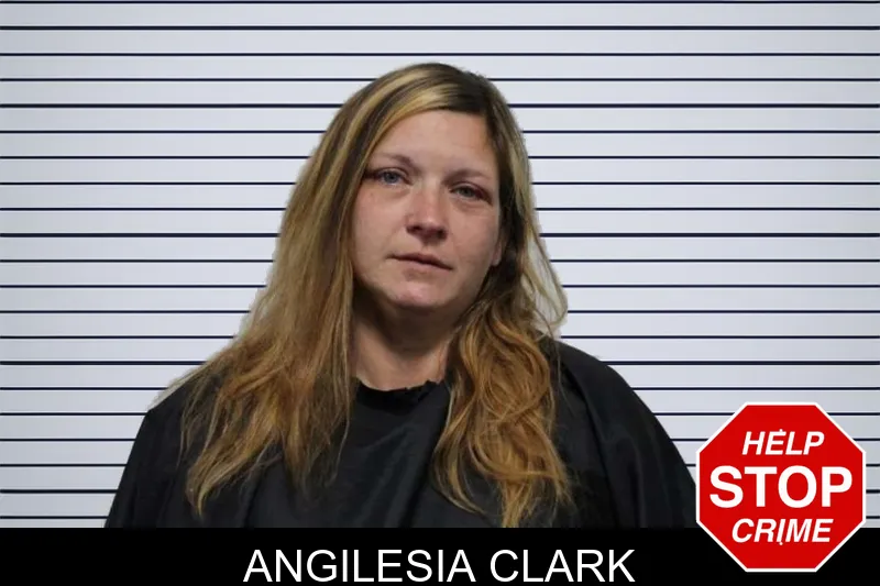Angilesia Clark mugshot