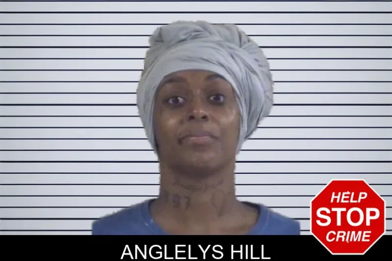 Anglelys Hill mugshot – Cobb County , Georgia Anglelys Hill