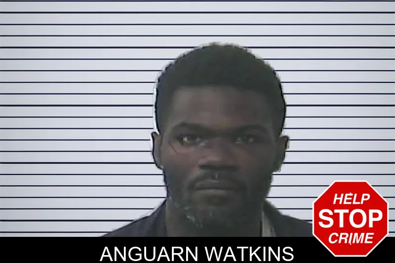 Anguarn Watkins mugshot