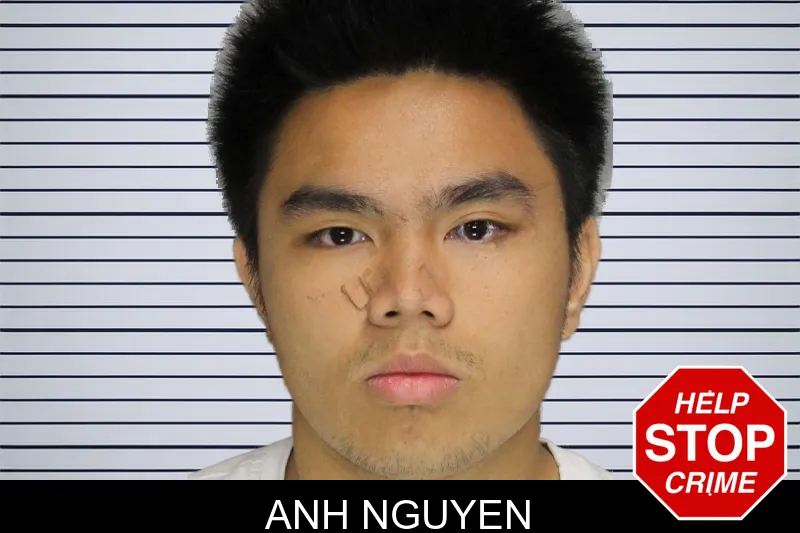 Anh Nguyen mugshot