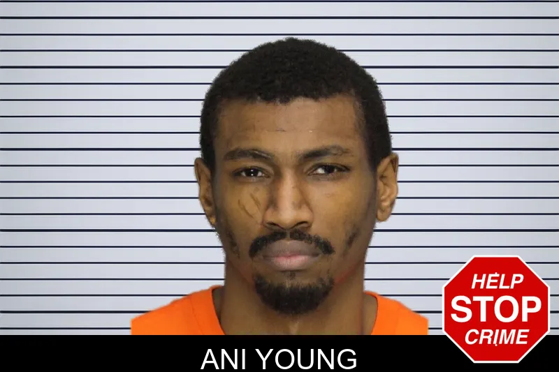 Ani Young mugshot – Cobb County , Georgia Ani Young mugshot