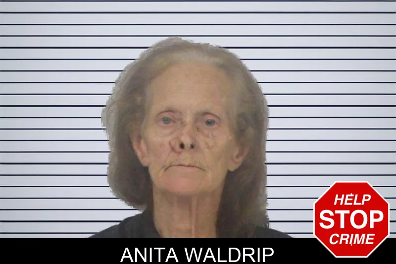 Anita Waldrip mugshot