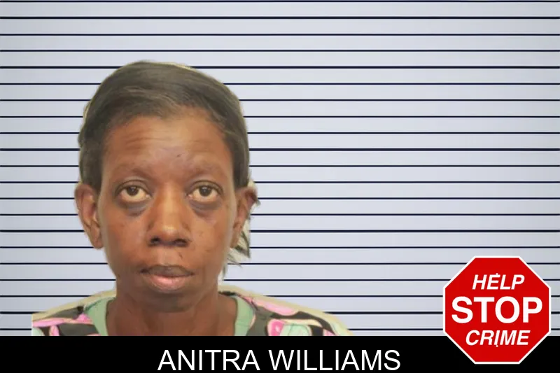 Anitra Williams mugshot – Chatham County , Georgia Anitra Williams mugshot