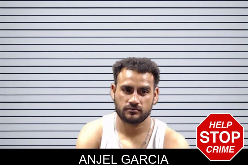 Anjel Garcia mugshot