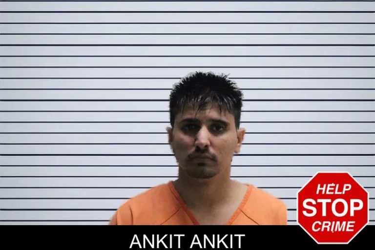 Ankit Ankit mugshot – Murray County , Georgia Ankit Ankit