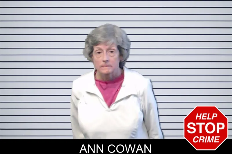 Ann Cowan mugshot – DeKalb County , Georgia Ann Cowan mugshot