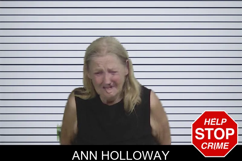 Ann Holloway mugshot