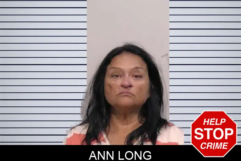 Ann Long mugshot