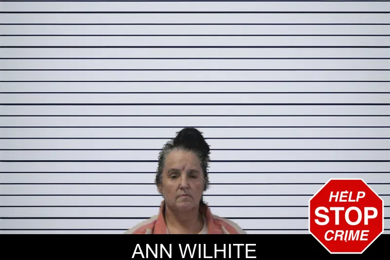Ann Wilhite mugshot