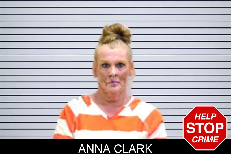 Anna Clark mugshot – Bartow County , Georgia Anna Clark mugshot