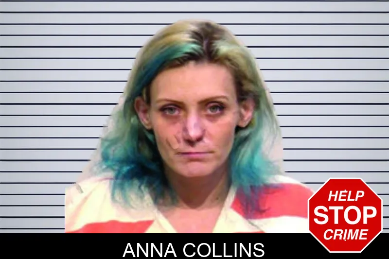 Anna Collins mugshot