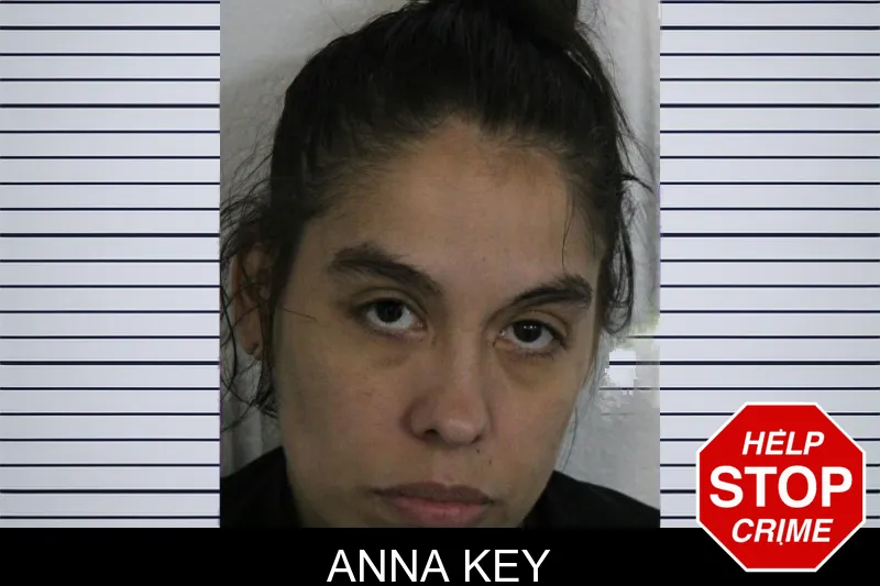 Anna Key mugshot