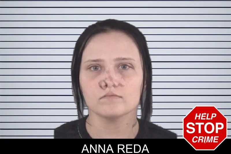 Anna Reda mugshot