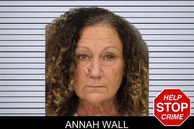 Annah Wall mugshot