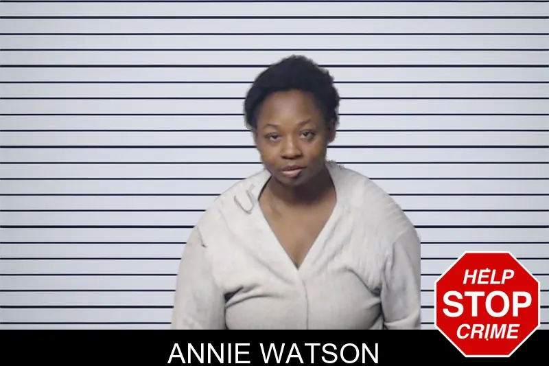 Annie Watson mugshot – DeKalb County , Georgia Annie Watson mugshot