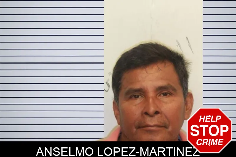 Anselmo Lopez-Martinez mugshot – Chatham County , Georgia Anselmo Lopez-Martinez mugshot