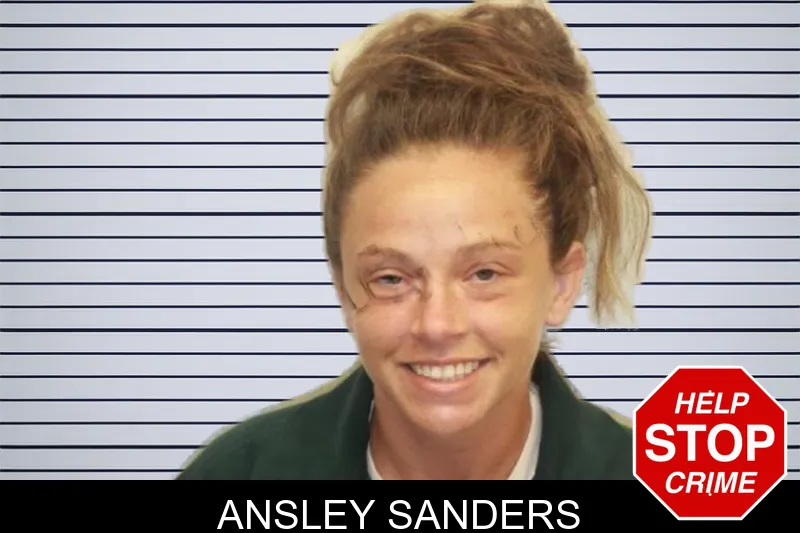 Ansley Sanders mugshot – Chatham County , Georgia Ansley Sanders mugshot