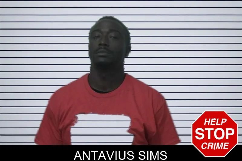 Antavius Sims mugshot