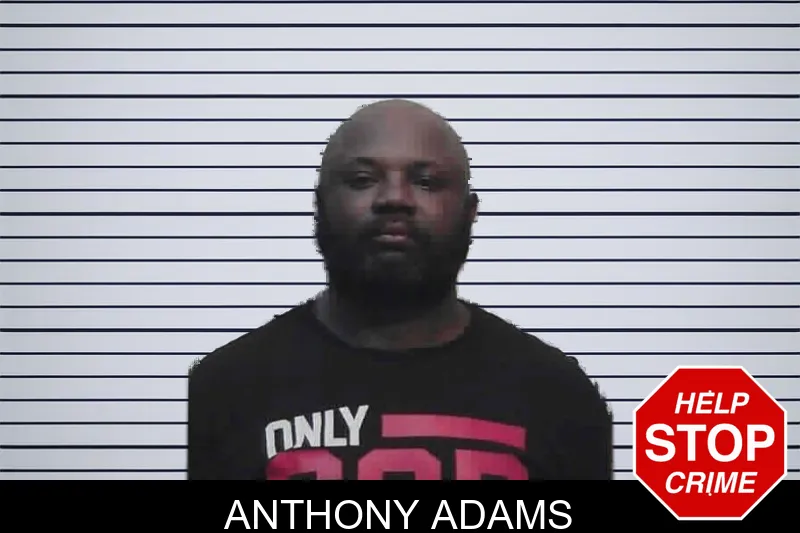 Anthony Adams mugshot