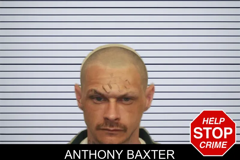 Anthony Baxter mugshot