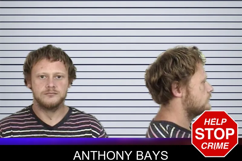 Anthony Bays mugshot