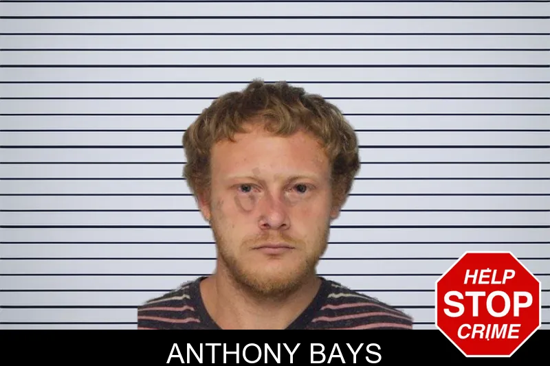 Anthony Bays mugshot