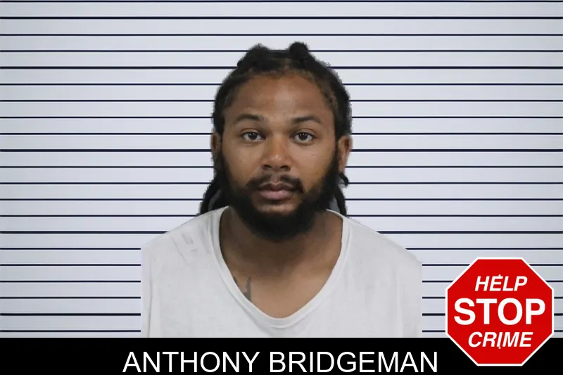 Anthony Bridgeman mugshot