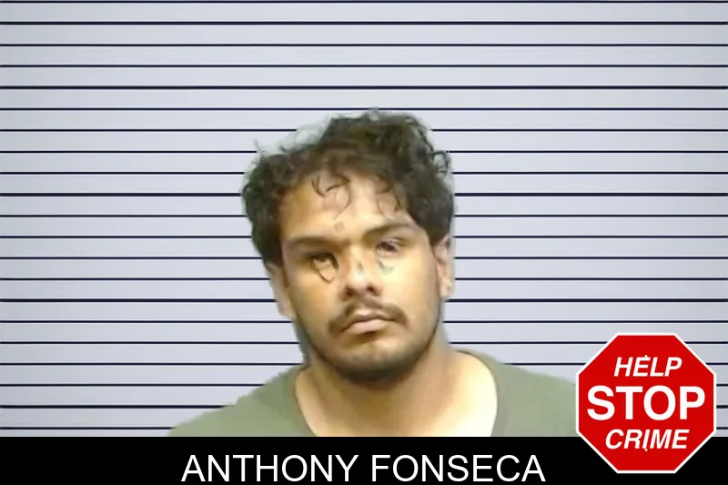 Anthony Fonseca mugshot