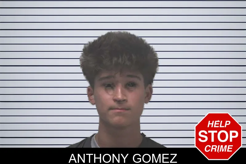 Anthony Gomez mugshot