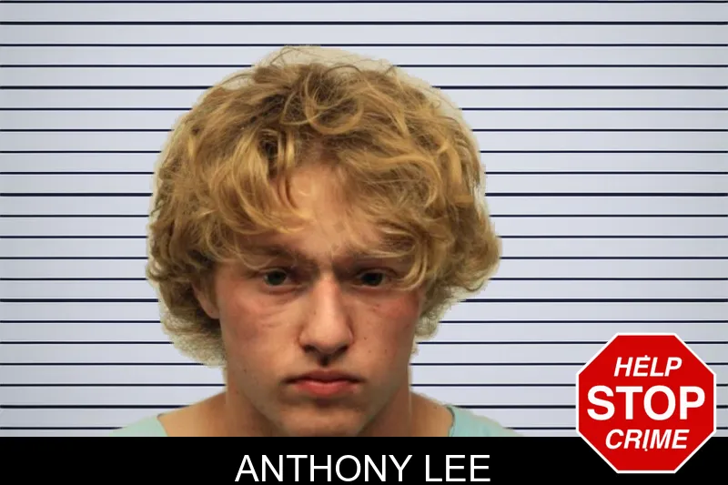 Anthony Lee mugshot – Chatham County , Georgia Anthony Lee mugshot